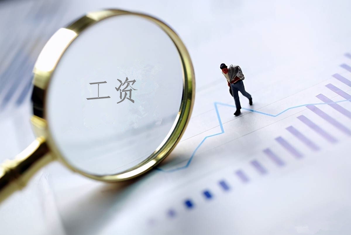 2022年度k8凯发(中国)天生赢家·一触即发
工资总额信息披露